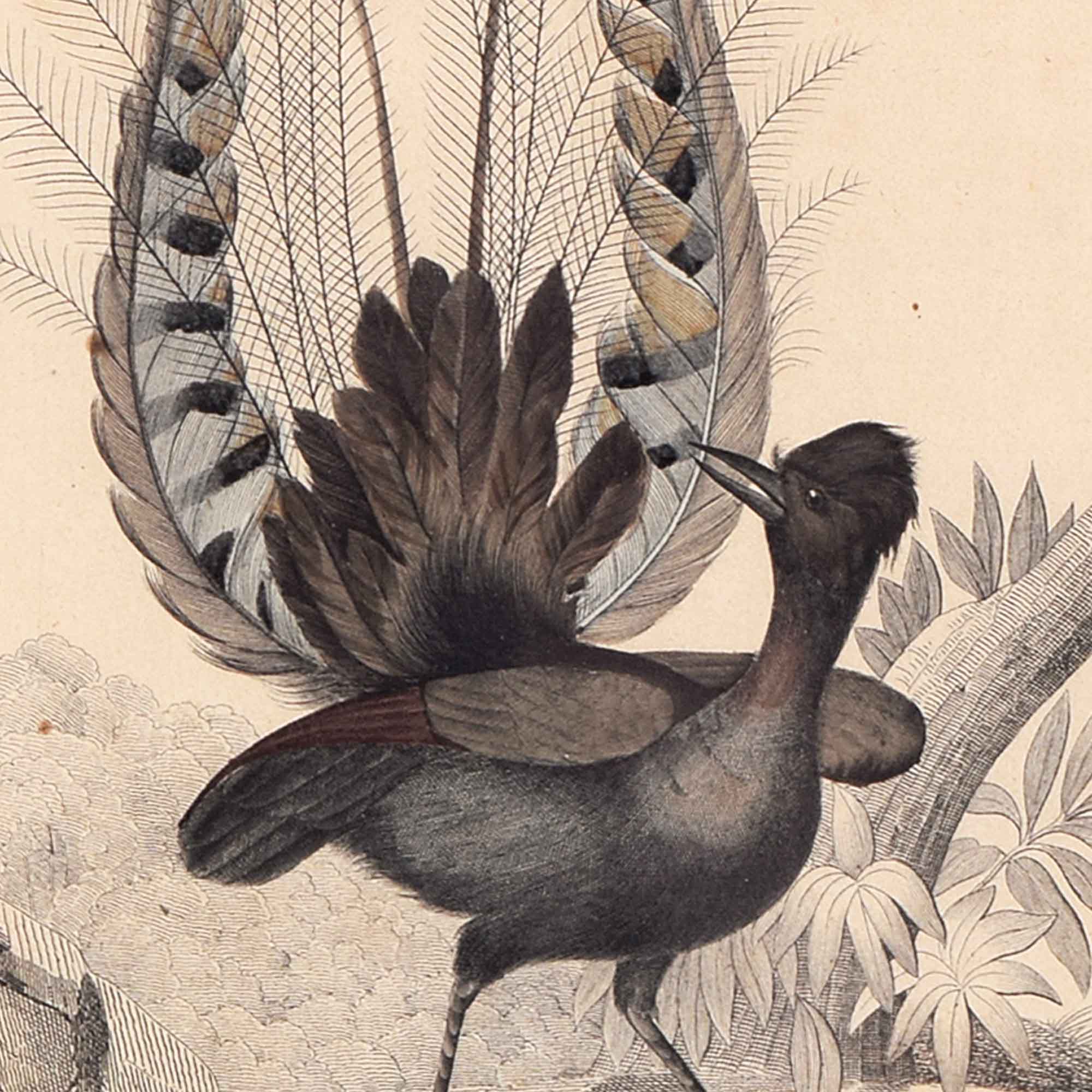 Source: Auktionshaus Heickmann KG Image
