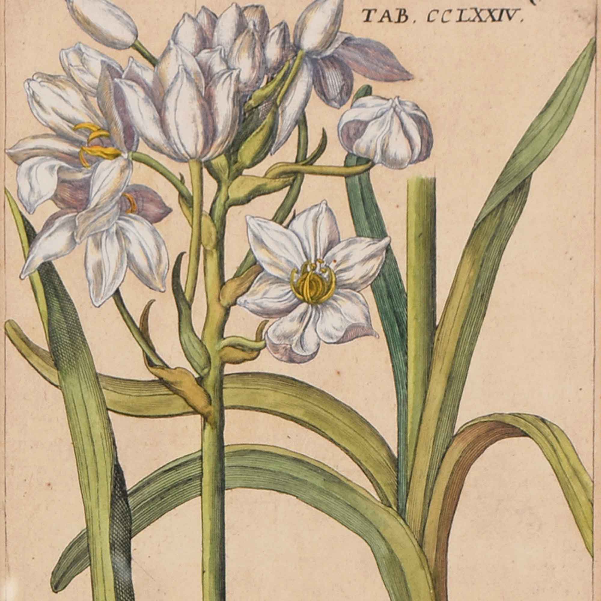 Source: Auktionshaus Heickmann KG Image